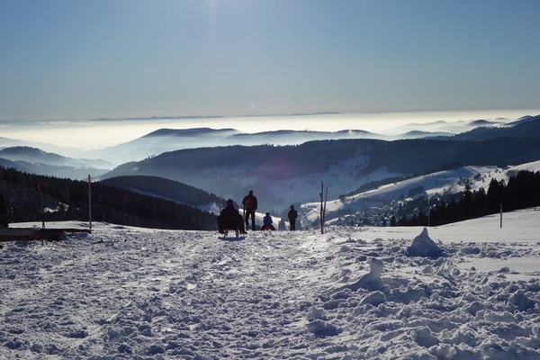 Rodeln am St�benwasen