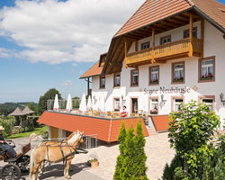 Gasthaus Sonne Neuhusle (St.Mrgen)