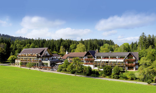 Hotel Gr�ner Wald (Freudenstadt)