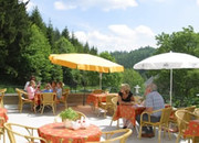 Vital-Hotel Grüner Baum (Todtnau) Vital-Hotel Grüner Baum (Todtnau)