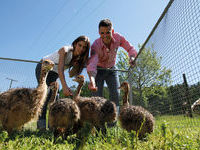 Stadt Blumberg Stadt Blumberg