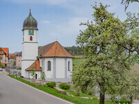  (Bildnachweis: Mit freundlicher Genehmigung der Stadtverwaltung Waldshut-Tiengen (Foto: Dieter Sch�uble))