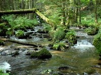 Das Murgtal (Bildnachweis: Gemeinde Murg) Das Murgtal (Bildnachweis: Gemeinde Murg)