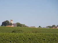 (Bildnachweis: Gemeinde Buggingen) (Bildnachweis: Gemeinde Buggingen)