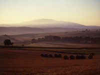 (Bildnachweis: Gemeinde Efringen-Kirchen) (Bildnachweis: Gemeinde Efringen-Kirchen)