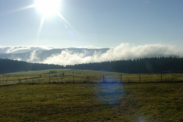 Copyright: (4ws-netdesign) Copyright: (4ws-netdesign)