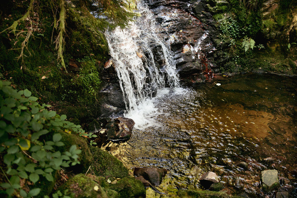  Becken des Wasserfalls in der Windbergschlucht bei St. Blasien Copyright: (� Hochschwarzwald Tourismus GmbH)